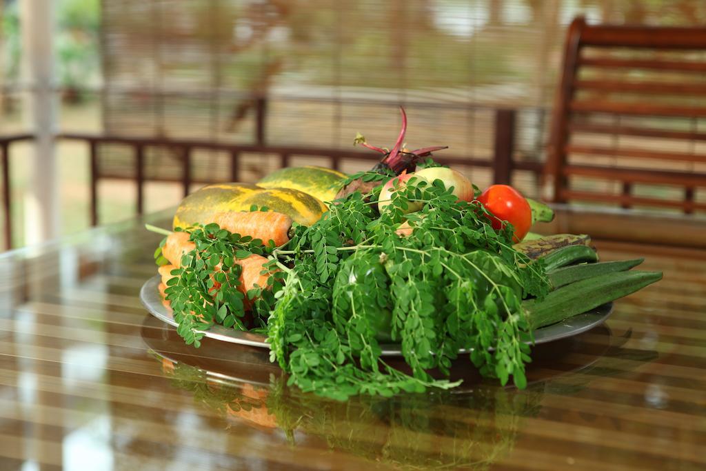 The Health Village Alwaye Bagian luar foto